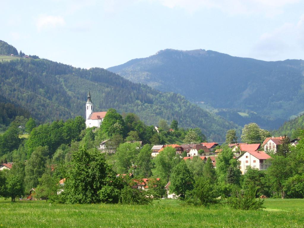 Farm Stay Bukovje Ljubno Exterior foto