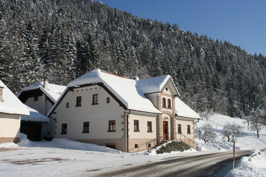 Farm Stay Bukovje Ljubno Exterior foto