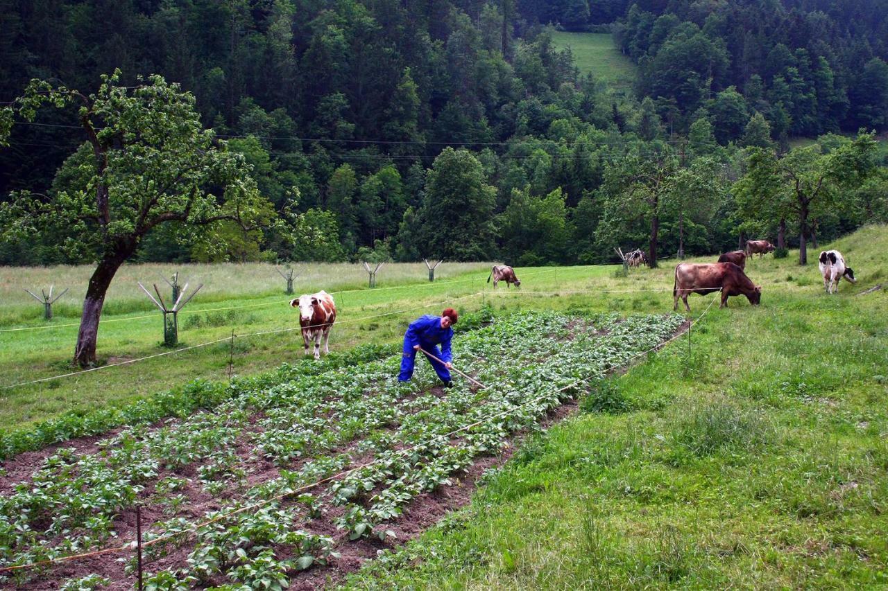 Farm Stay Bukovje Ljubno Exterior foto